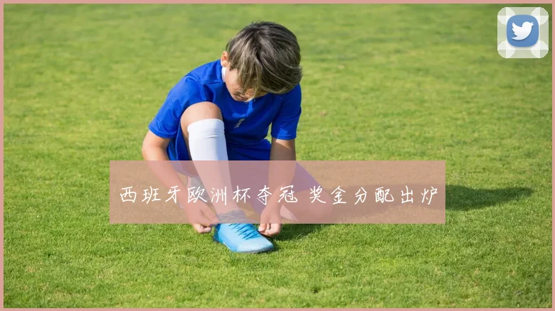 西班牙欧洲杯夺冠 奖金分配出炉