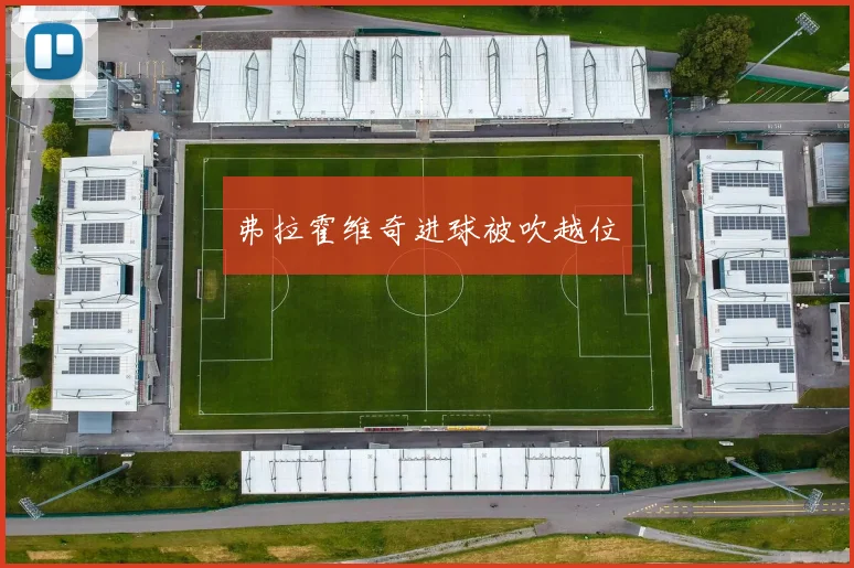 弗拉霍维奇进球被吹越位
